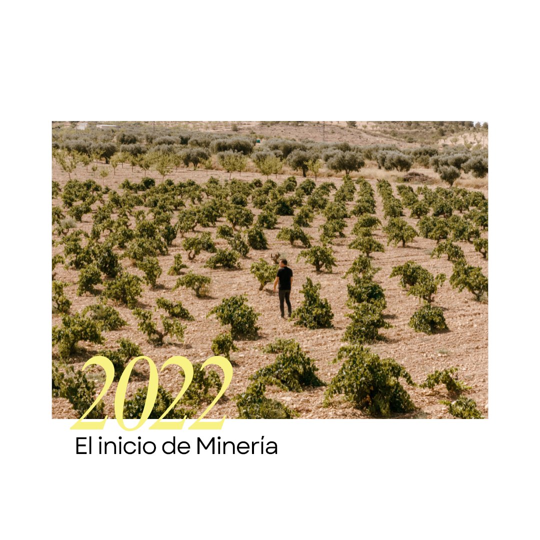 Todo empezó en 2022, entre las laderas más frías de la Sierra del Carche.
Un viejo viñedo recuperado de Airén, casi olvidado, volvió a respirar.
Tres años después, presentamos el resultado de aquella decisión.

Minería…

#Carchelo #SierradelCarche #Jumilla #Minería