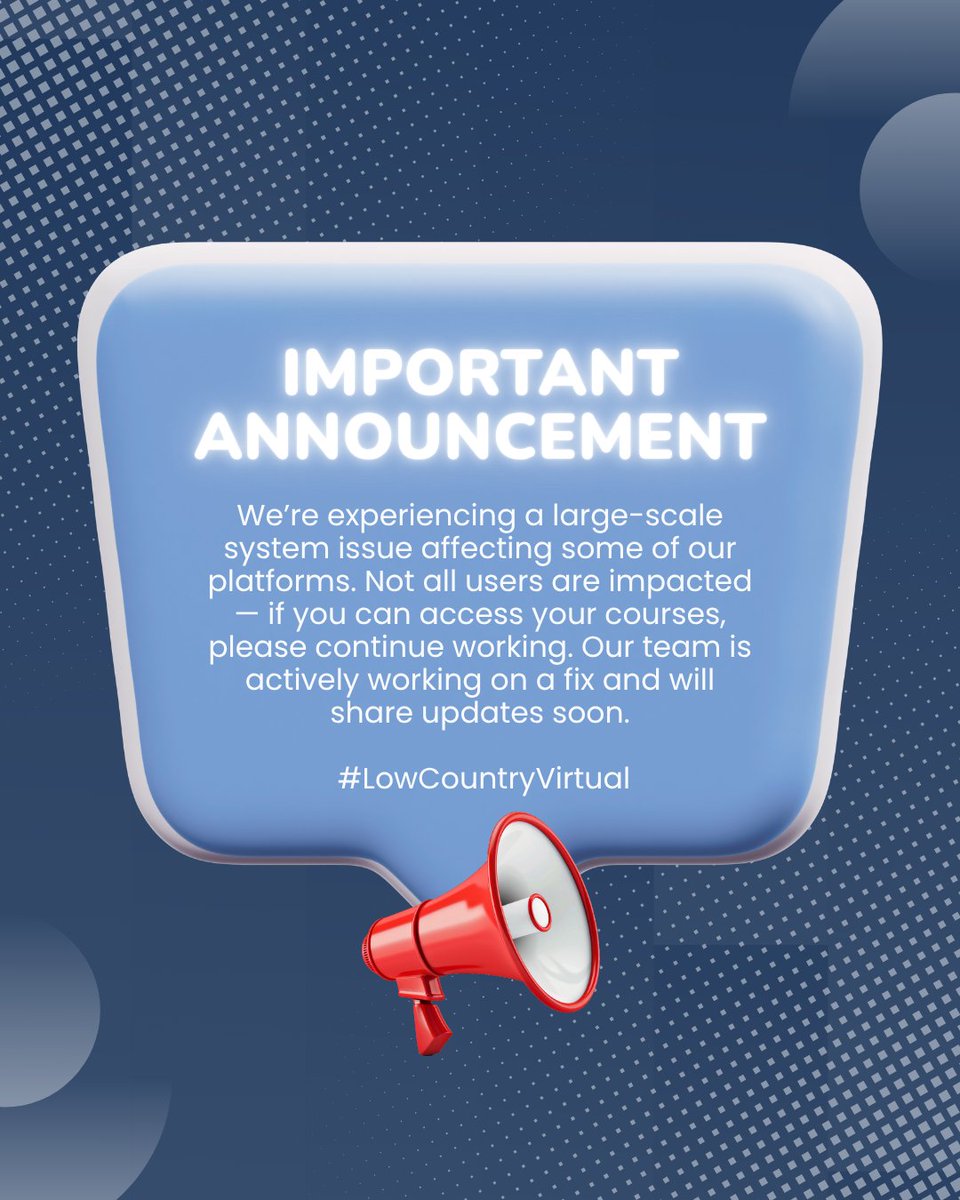 Low Country Virtual tweet media