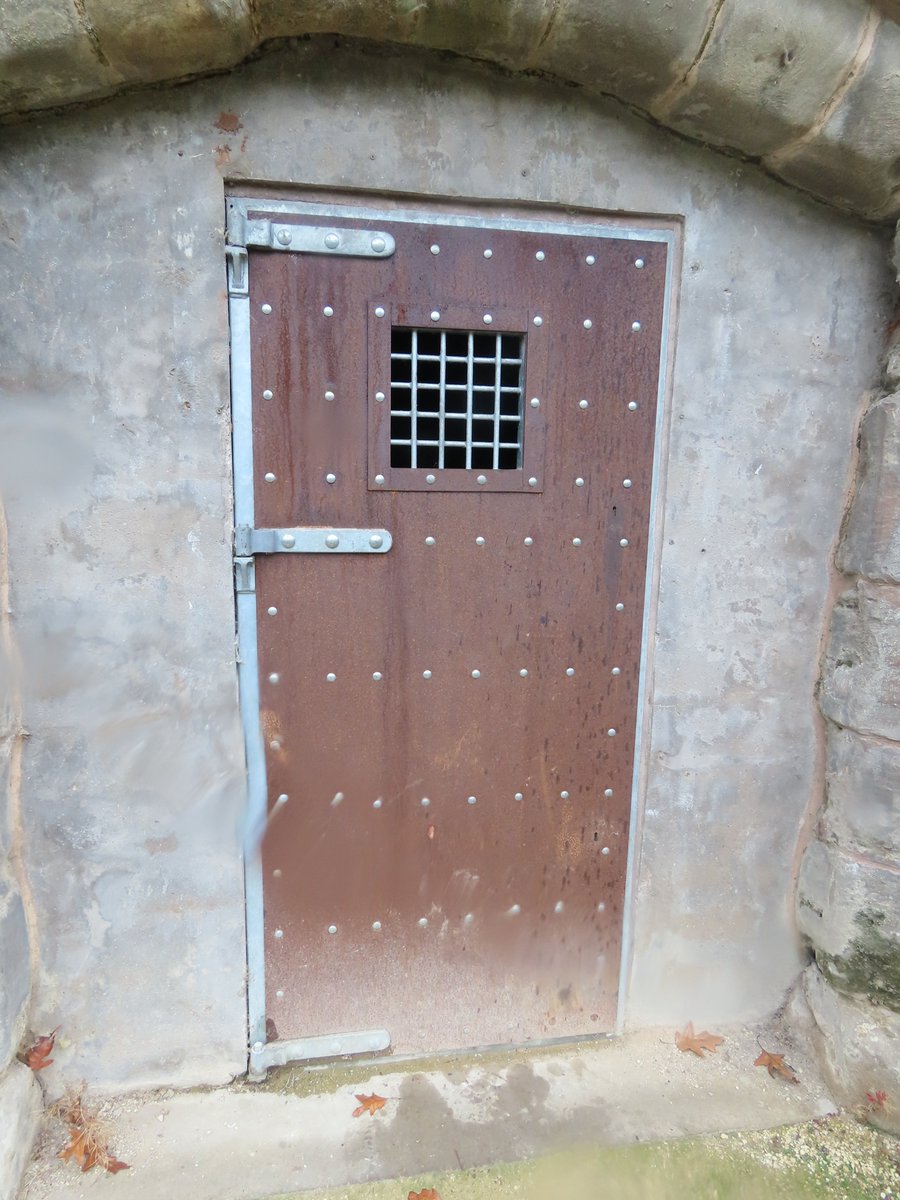 Elliott Brown tweet media