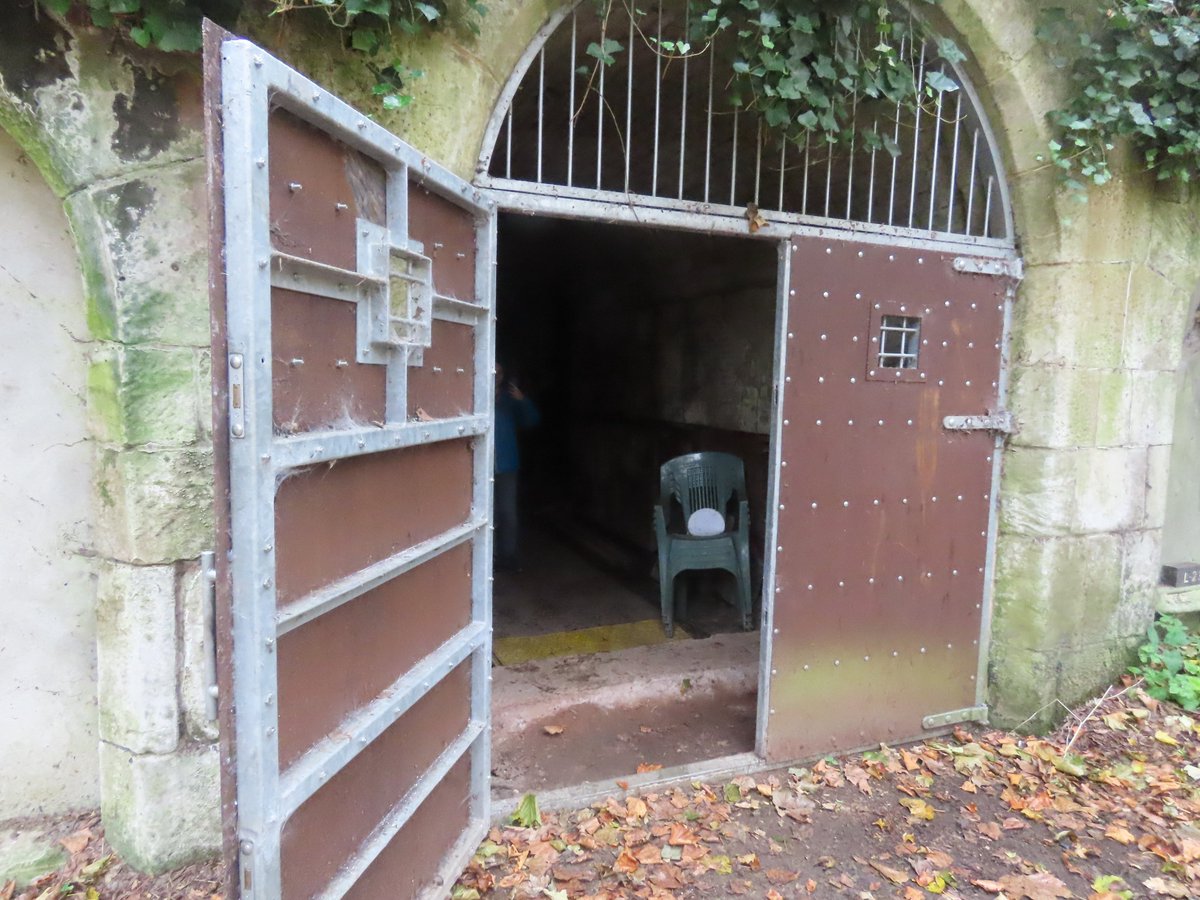 Elliott Brown tweet media