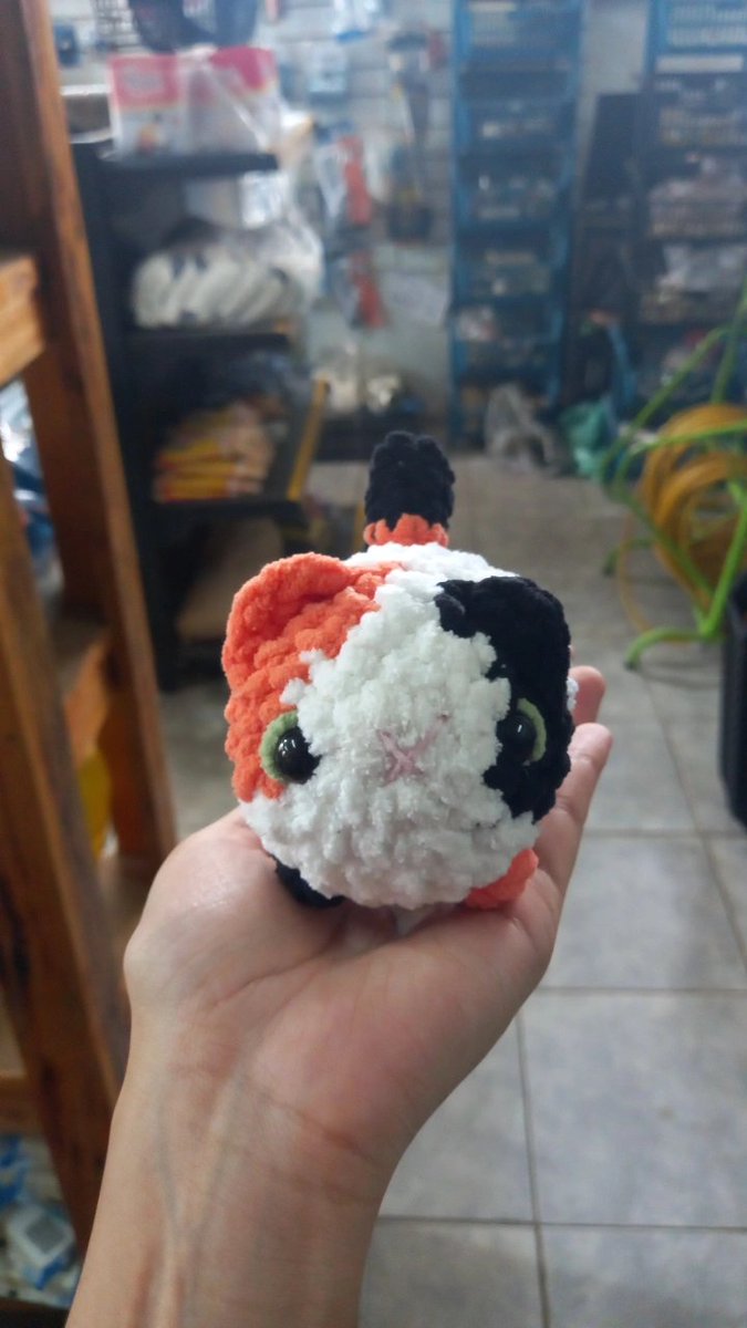 irrapeaoo's tweet photo. R$20,00 pra levar um gatinho gordinho https://t.co/8sE3eF6ouC