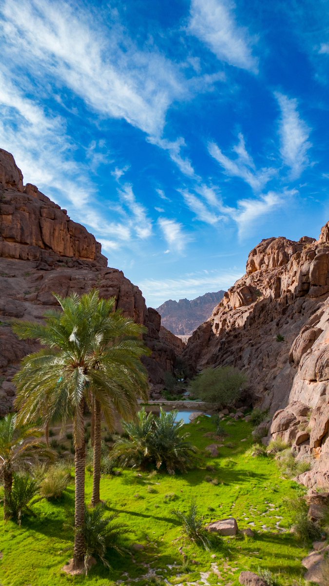 ⏳ | #شتاء_حائل

واضح إنكم مشتاقين 😎
للشتاء ❄️
وللبر ⛺️
وللمطر ☔️

📸 | #حائل_الأجمل
#أمانة_منطقة_حائل