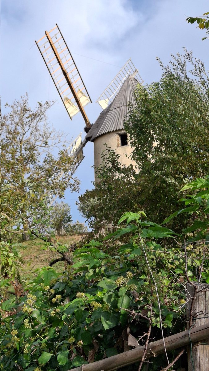 Cire96461251's tweet image. #Cheminer, #écouter, #regarder, #sentir, #toucher parfois, #partager quand propice