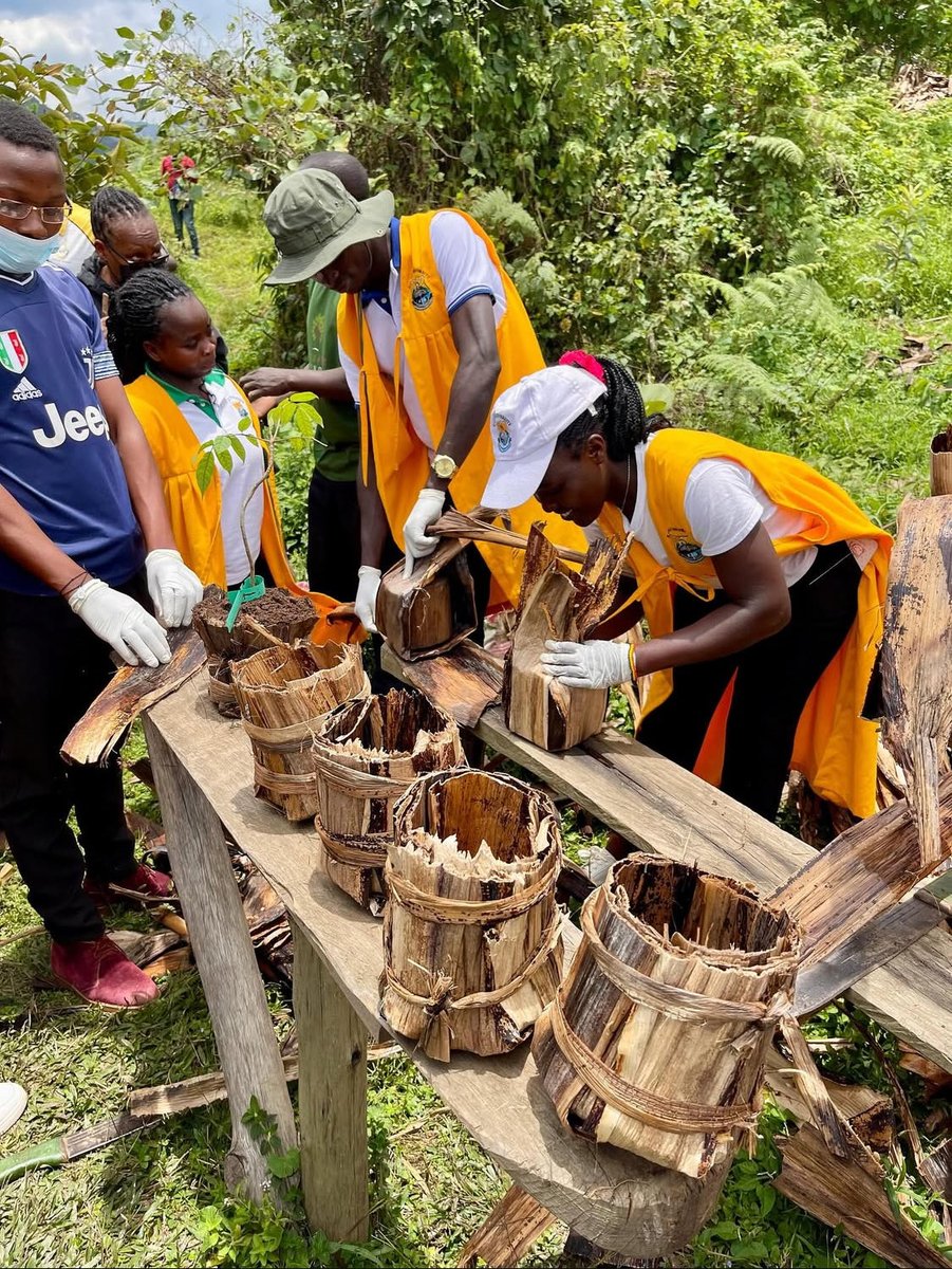 The best part about involving young people in tree planting isn’t just the trees it’s the mindset it grows. It teaches responsibility, builds environmental awareness, and inspires a new generation of informed, motivated decision makers who care enough to protect our planet.