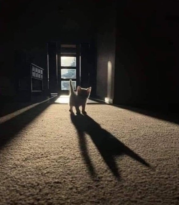 "Who has summoned me?"