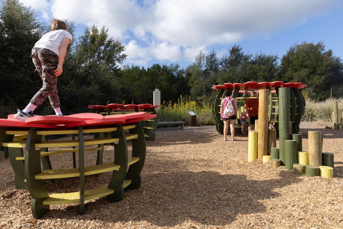 The Daily Texan tweet media