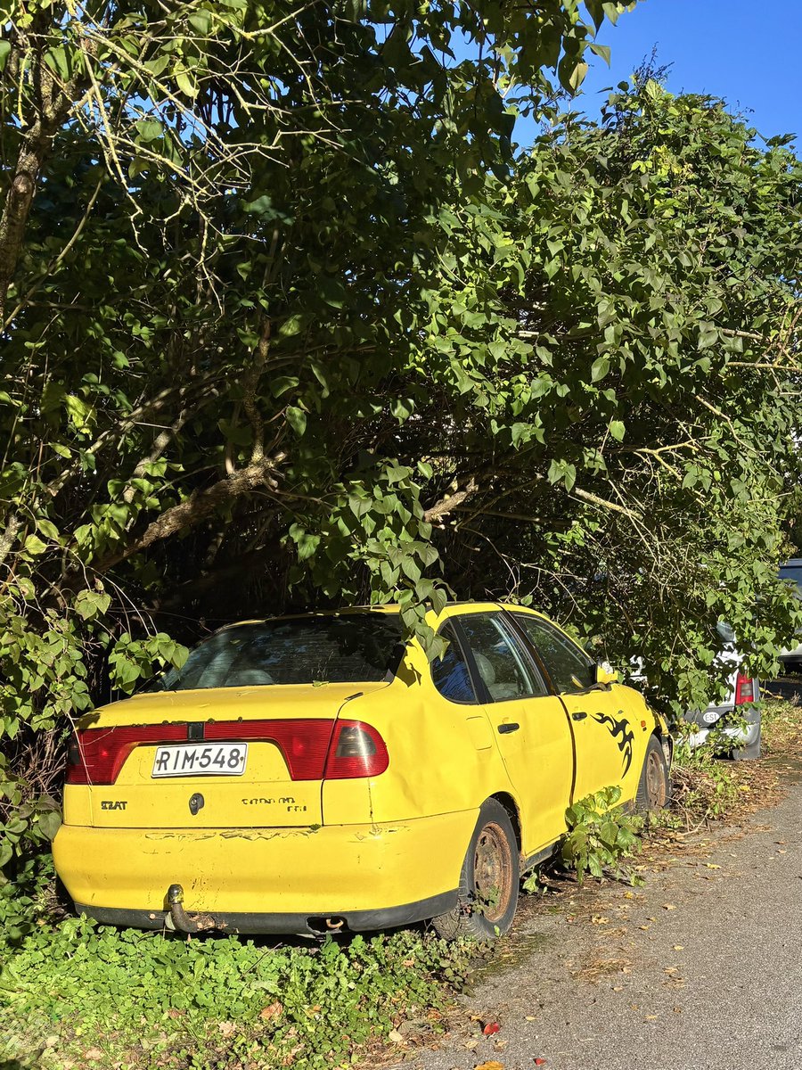 Специально для <a href="/angieeeeeeeeet/">Anžeelika</a> 
Обнаружена нараёне😅