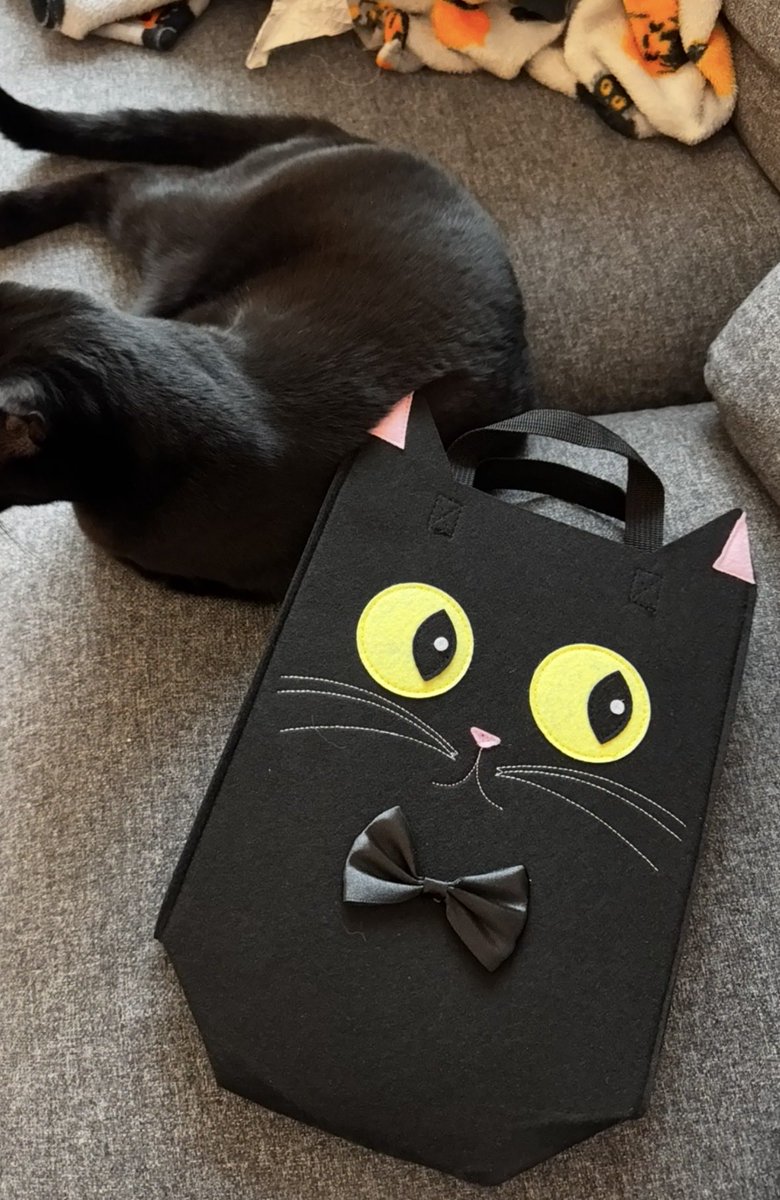 john is literally the nicest and most thoughtful man ever 🥲 picked me up from surgery and surprised with me this halloween treat bag with insomnia cookies in it and is going to the pharmacy for me and is just so kind and caring and I'm so lucky to have him