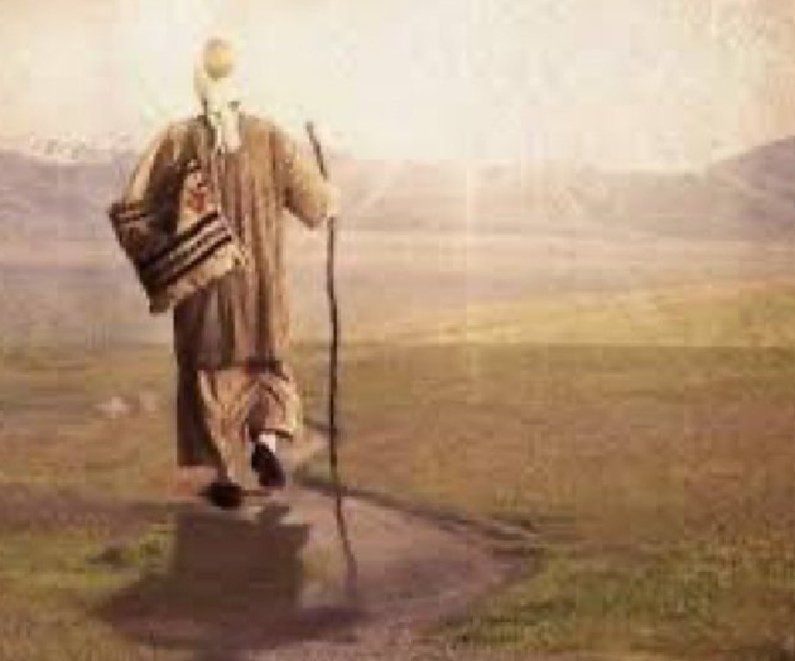 Sürekli her şeyi  hayra yorup hayırlısı buymuş diyerek ulaştığımız bilgelik.