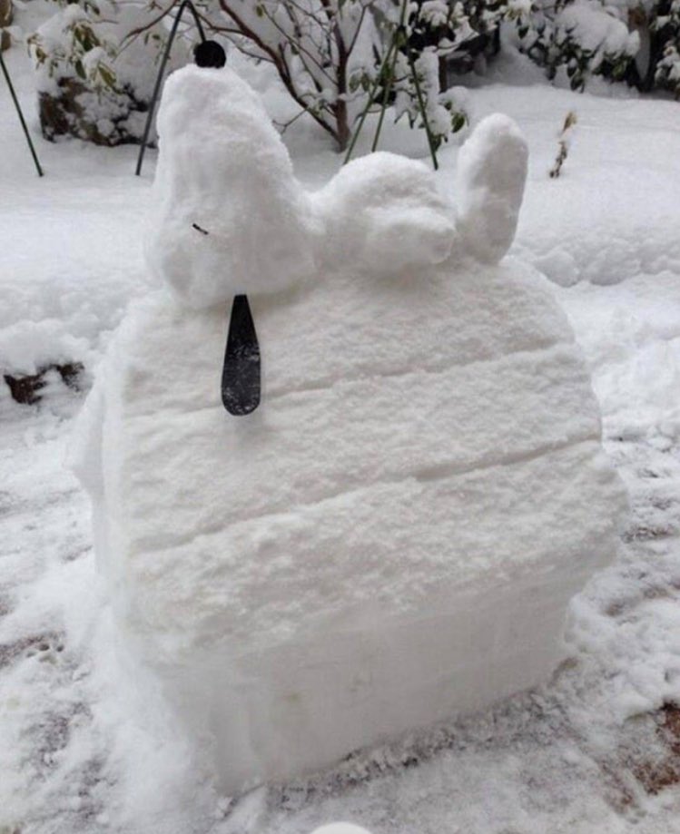 <a href="/Geniustechw/">Genius Tech</a> <a href="/AlanaHo16398799/">Alana Hoff</a> FUN TIMES❣️