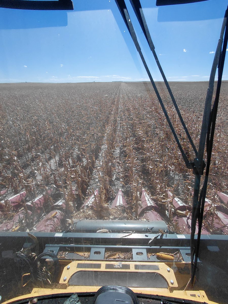 You ever notice how one pass can do wildly different from the next with absolutely no management changes. Yeah, thats why I put very little merit in single location, unreplicated product side by sides.