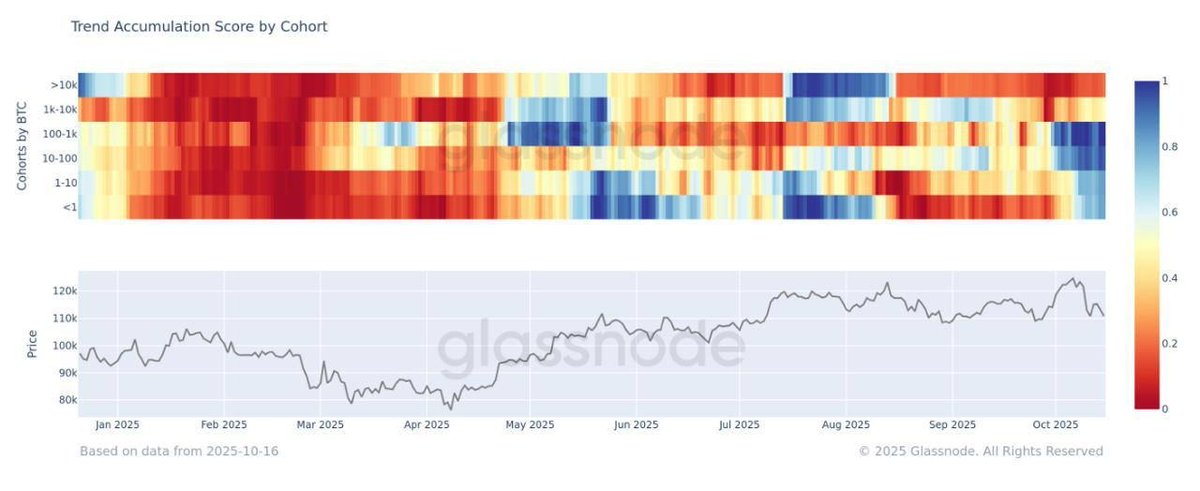 Smaller #BTC holders are stepping up.
Strong accumulation is underway among small to mid-sized cohorts (1–1000 BTC), while large holders have slowed distribution, signaling renewed confidence in spite of the recent shakeout.