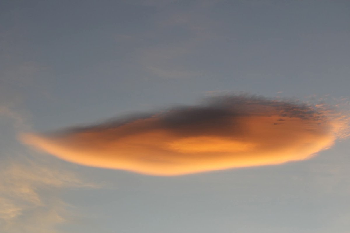 Meteo Málaga tweet media