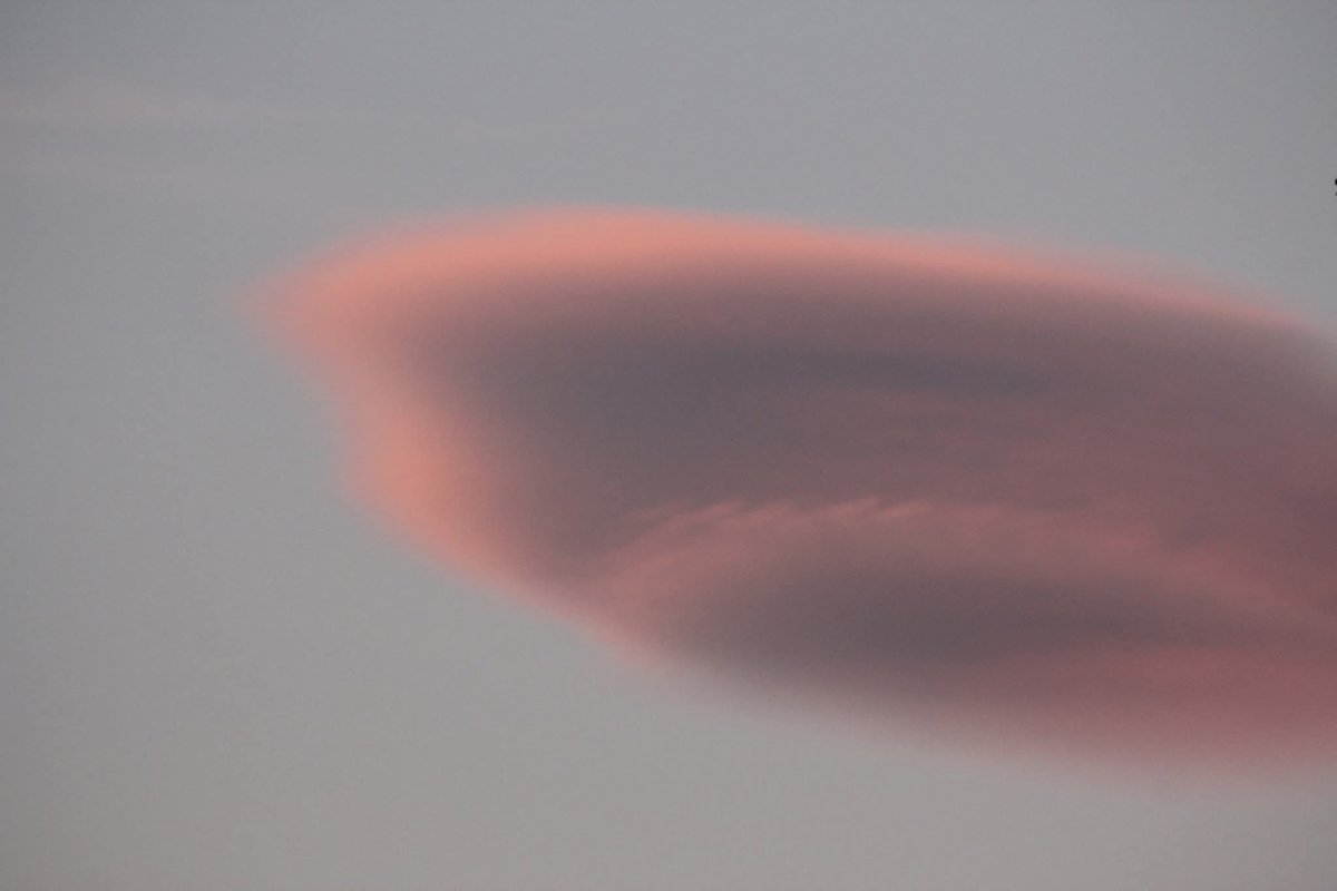 La magia de los lenticulares en Málaga. El terral escultor de las nubes. <a href="/ElTerral/">El Terral</a> <a href="/Eltiempoalsur/">𝔼𝕝 𝕥𝕚𝕖𝕞𝕡𝕠 𝕒𝕝 𝕤𝕦𝕣</a> <a href="/ElTiempoes/">Eltiempo.es</a> <a href="/MeteoredES/">Meteored España</a> <a href="/malagahoy_es/">Málaga Hoy</a> <a href="/101tvMalaga/">101TV Málaga</a> <a href="/fdez_pedrito/">Pedro C. Fdez</a> <a href="/malagaennoticia/">Ⓜ️álaga en Noticia</a> <a href="/ElTiempo_tve/">El Tiempo en TVE</a>