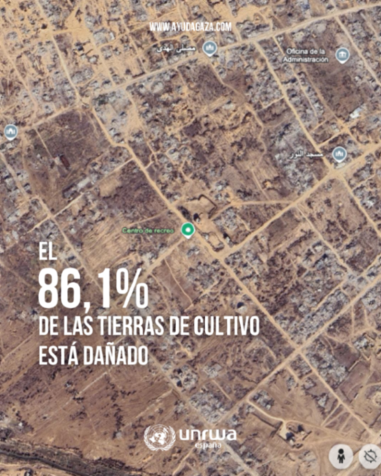 UNRWAes's tweet photo. Cuando decimos que Gaza está arrasada nos referimos a esto. 

Los datos son devastadores, pero detrás de cada dato, hay personas que lo han perdido todo. https://t.co/bPLVKtBiMi