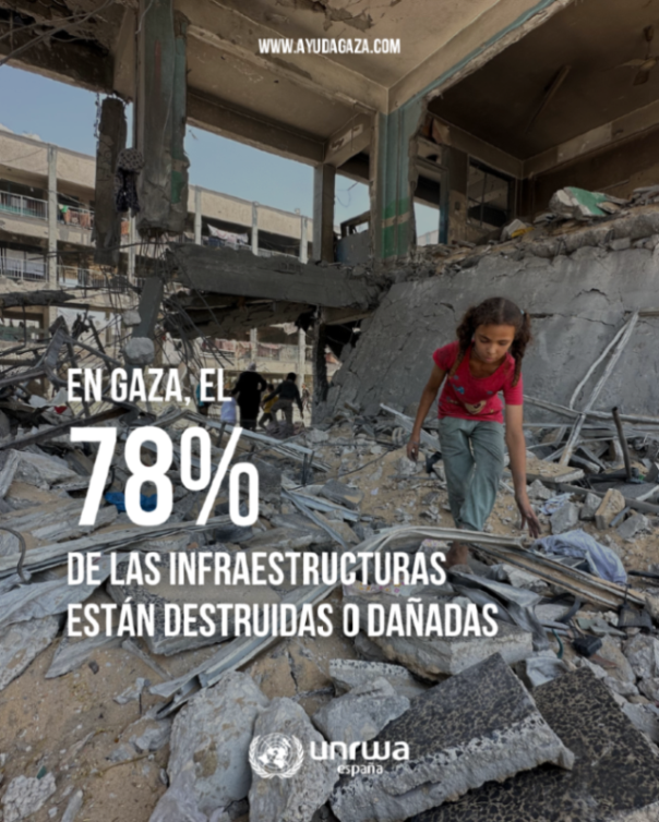 UNRWAes's tweet photo. Cuando decimos que Gaza está arrasada nos referimos a esto. 

Los datos son devastadores, pero detrás de cada dato, hay personas que lo han perdido todo. https://t.co/bPLVKtBiMi