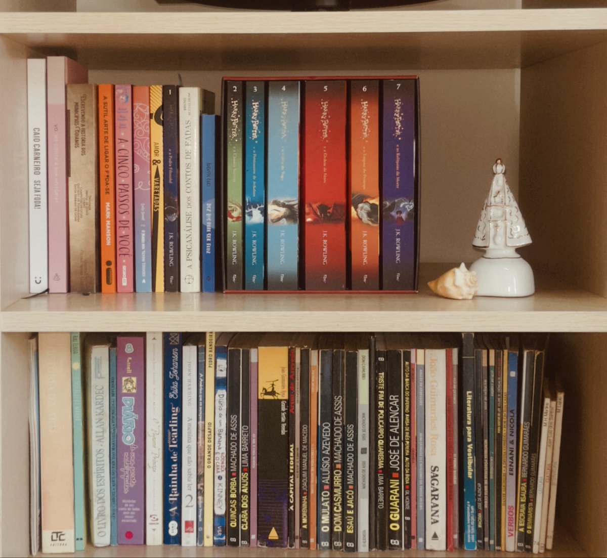 alicellemes's tweet photo. quando vc guarda seus livros desde criança é isso que ocorre https://t.co/y1qmspimjR