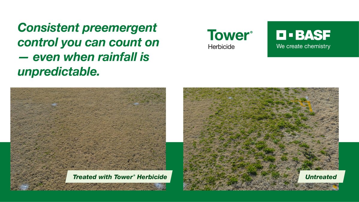 BASF Turf US tweet media