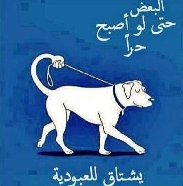 الظهر تدريب الليل دورات
صايره احب الكرف