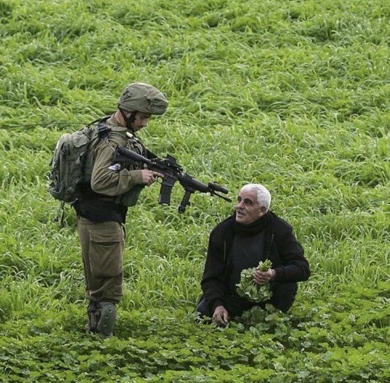 🇵🇸🏴‍☠️🇵🇸 A Palestina em uma foto!