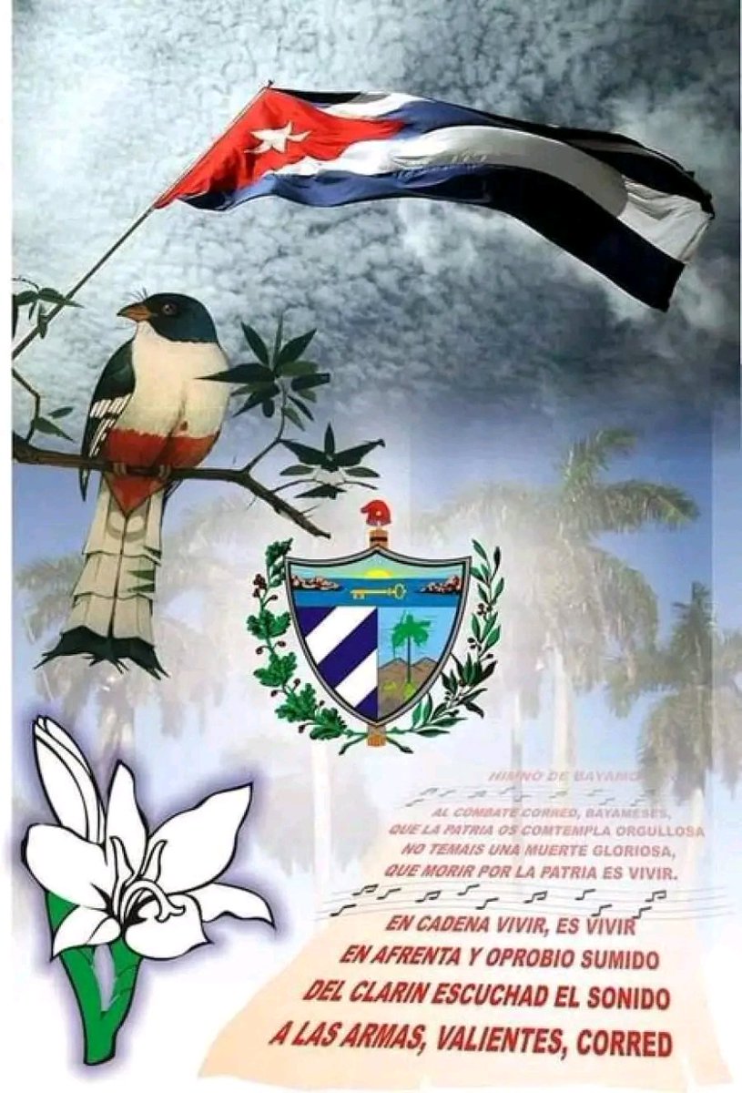 #DiaDeLaCulturaCubana