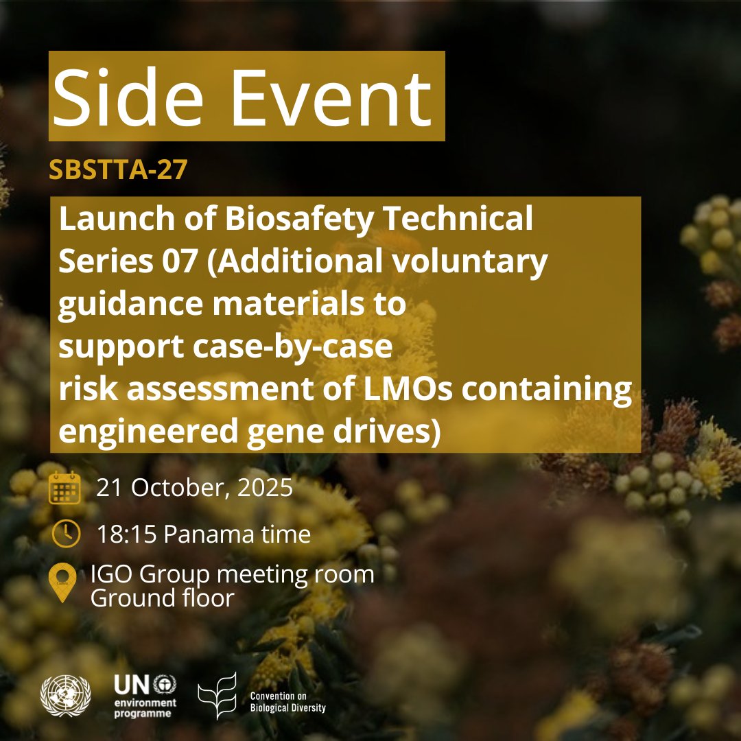 BCHCPB's tweet image. Side event: Launch of the #Biosafety Technical Series 07: Additional voluntary guidance materials to support case-by-case risk assessments of living modified organisms (#LMOs) containing engineered gene drives, 21 Oct., 18:15 
🔗cbd.int/side-events/68…
@wadzanayi14 
#SBSTTA27