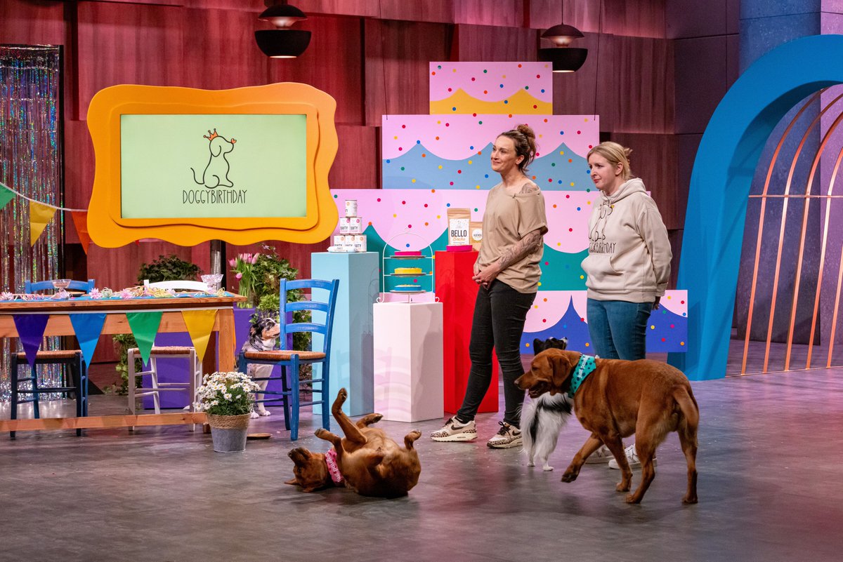 Alles Gute und viel Erfolg für die Zukunft #DoggyBirthday #dhdl