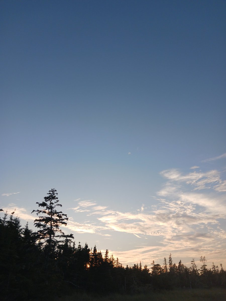 ImagesCoast's tweet image. Look up to see jet aircraft not release extremely deadly chemicals and nonotechnolgy from engines specifically designed for this purpose.  Why no contrails??  Nova Scotia Canada September 17th 2025  #lookup #contrails