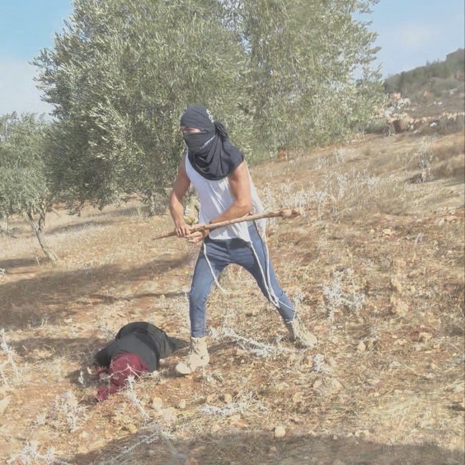 This picture of an Israeli settler tormenting a Palestinian farmer on her land captures so much about the daily routine of living under occupation for over 70 years. Unprovoked, unhinged, unseen by the American public, and entirely protected by the American government.