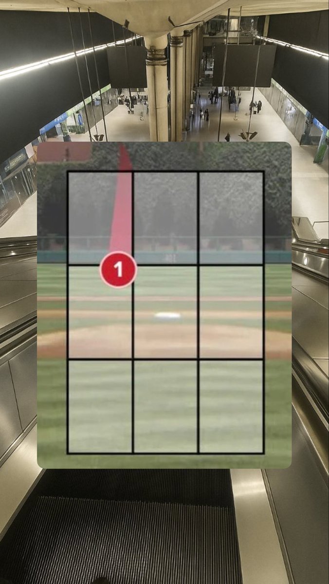 tessiesbestie's tweet image. how an umpire sees the world