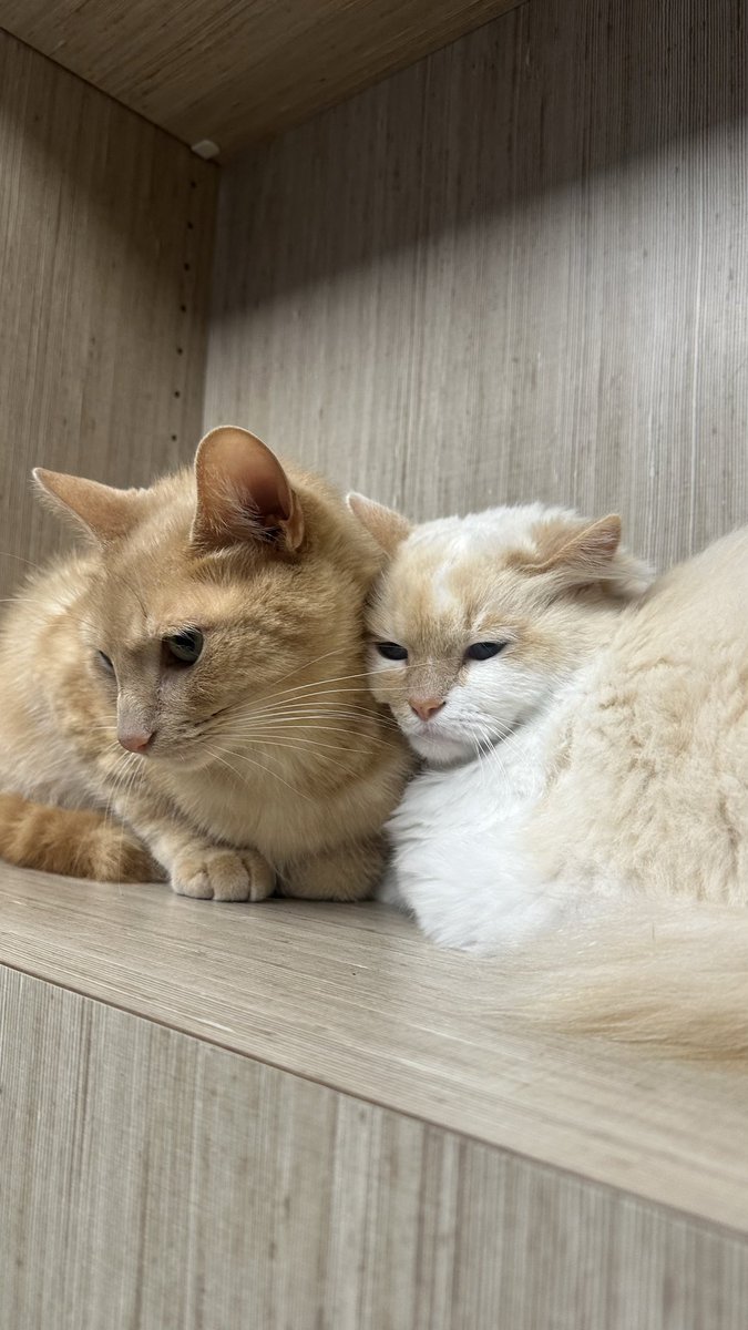 𓂆 🇵🇸 tweet media