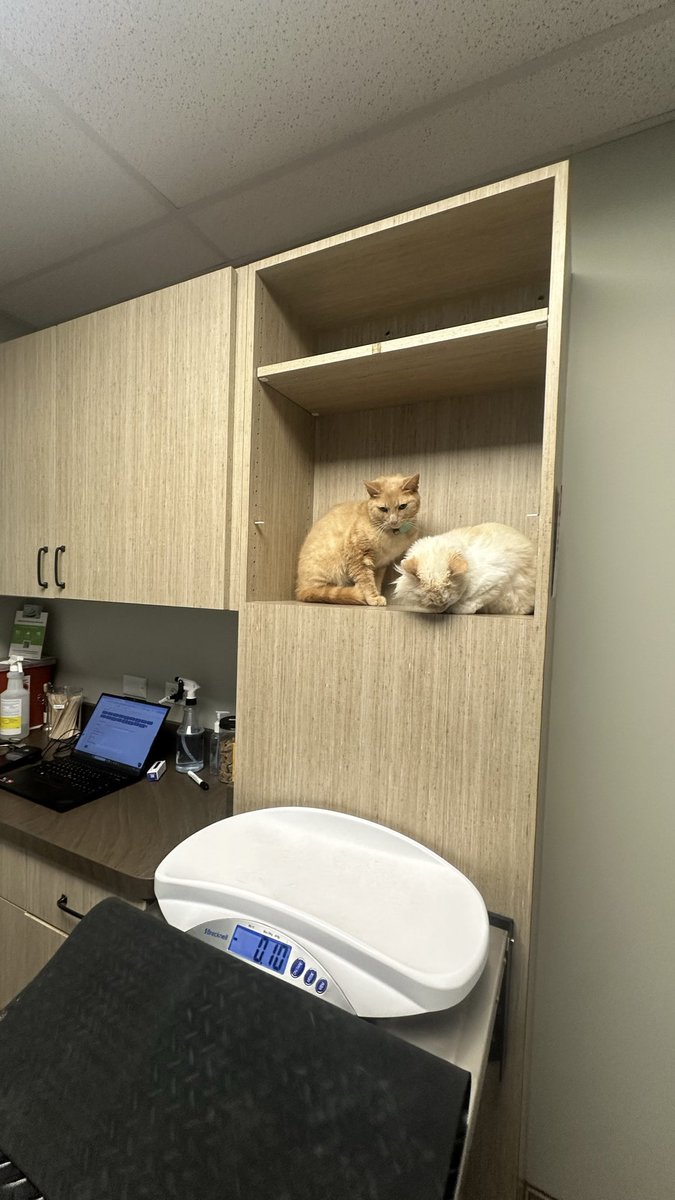 𓂆 🇵🇸 tweet media