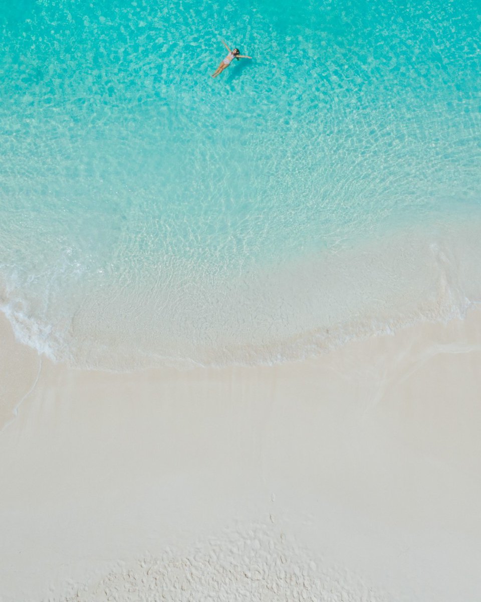 Alexandra Resort tweet media
