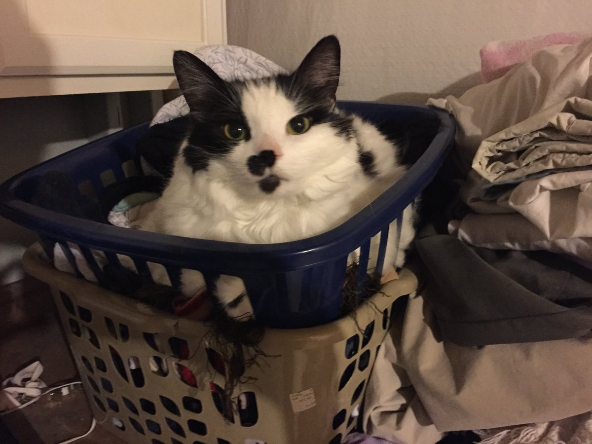 My mom is feeling nostalgic and sending old pictures of Fat Oreo