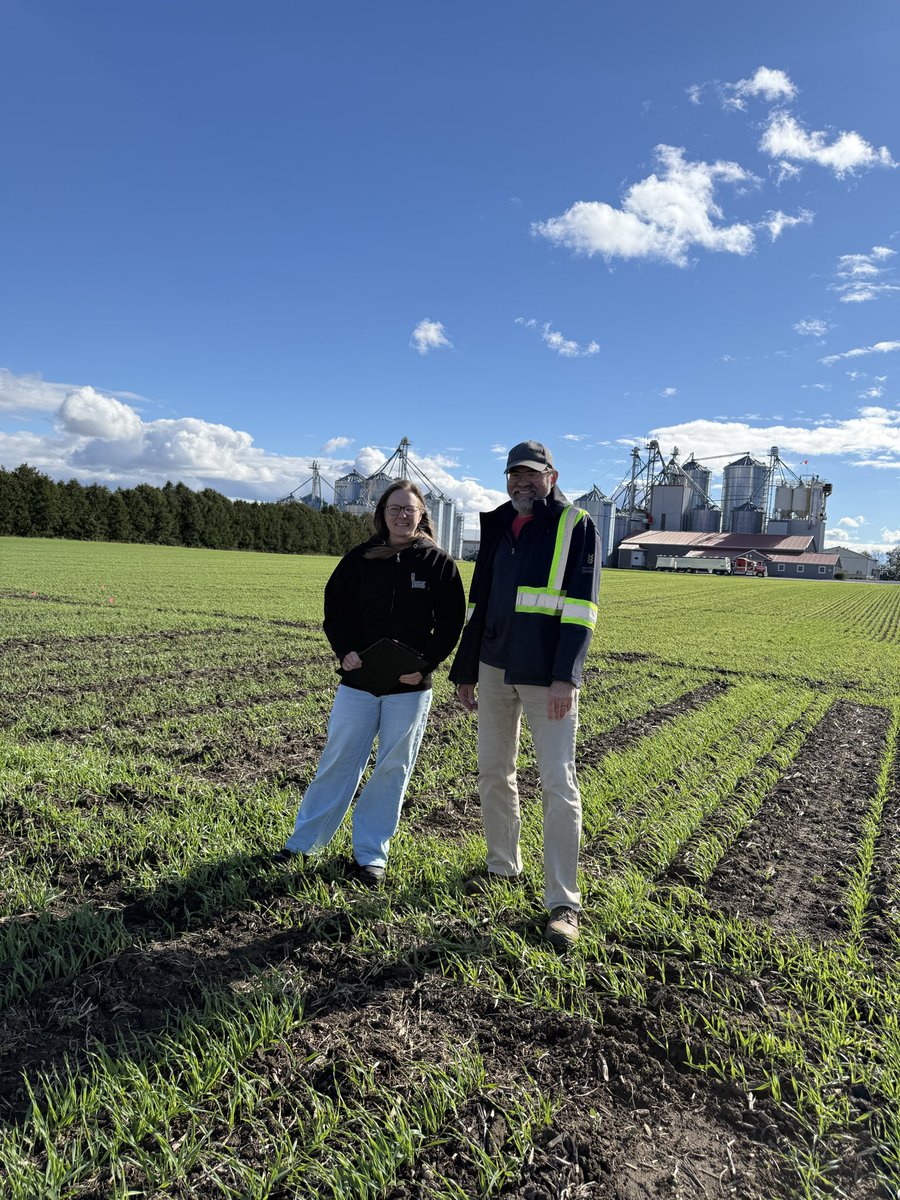 Cribit Seeds tweet media