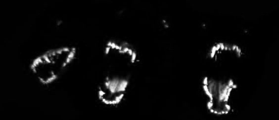 𝐬𝐩𝐥𝐢𝐭 𝐦𝐲 𝐬𝐤𝐢𝐧 𖤐. tweet media