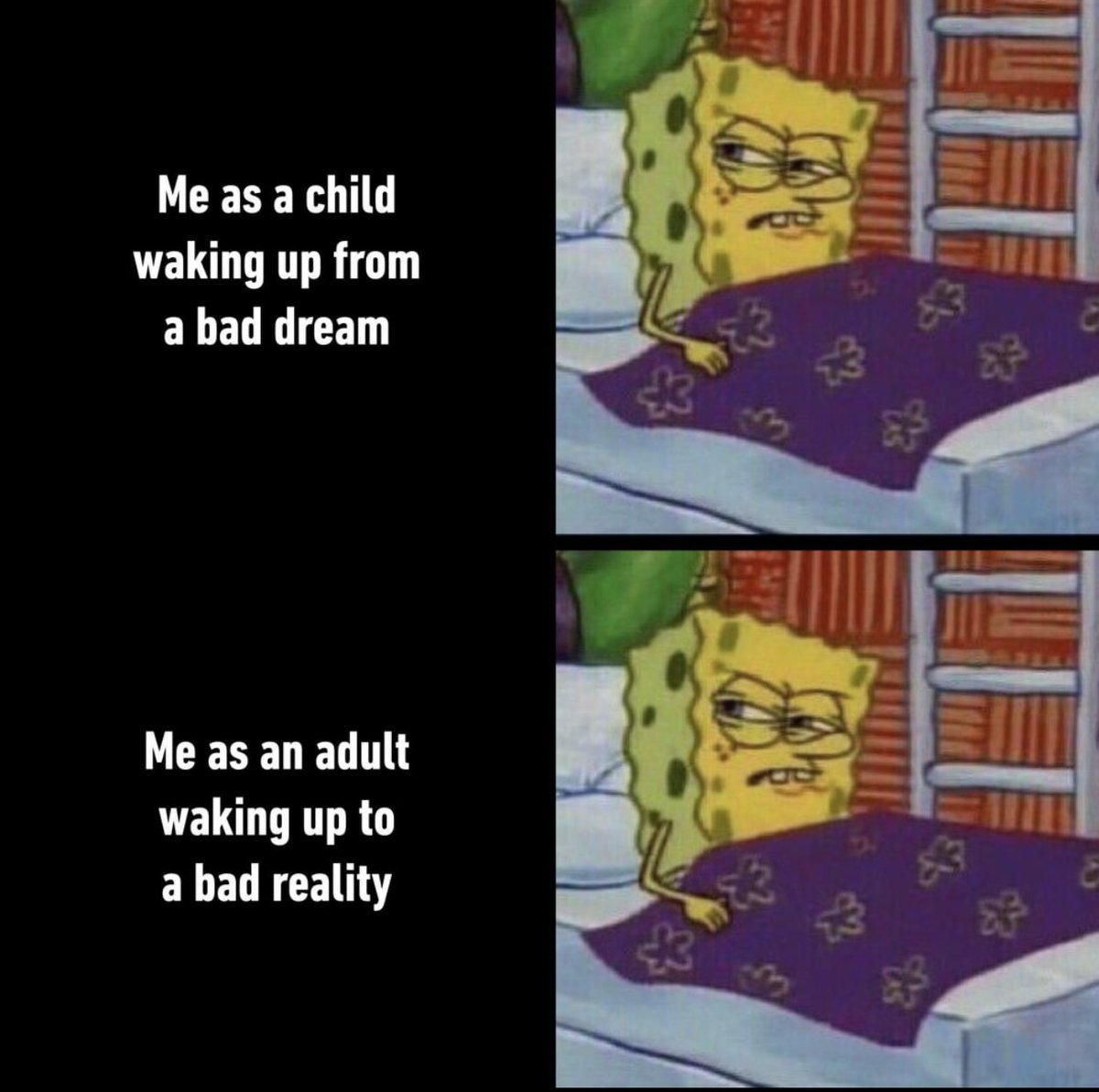 😂