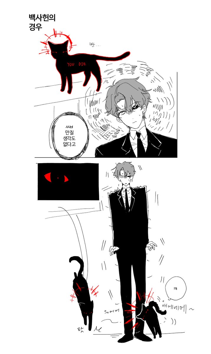 굄자괴구마괴수수 tweet media