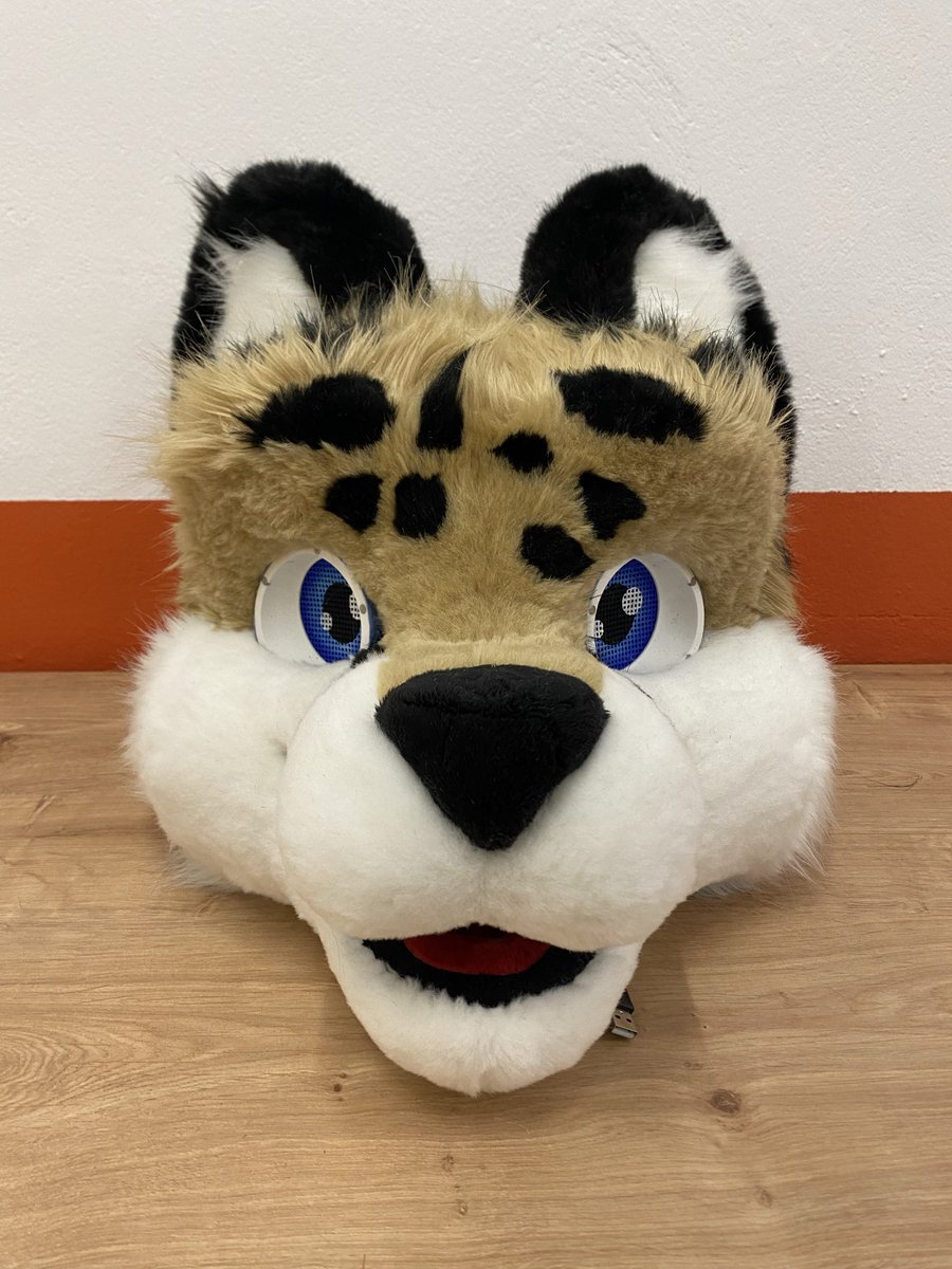 Das Fell ist rasiert und das Innenfutter der Schnauze vernäht 

The fur is shaved and the inside lining of the snout is sewn