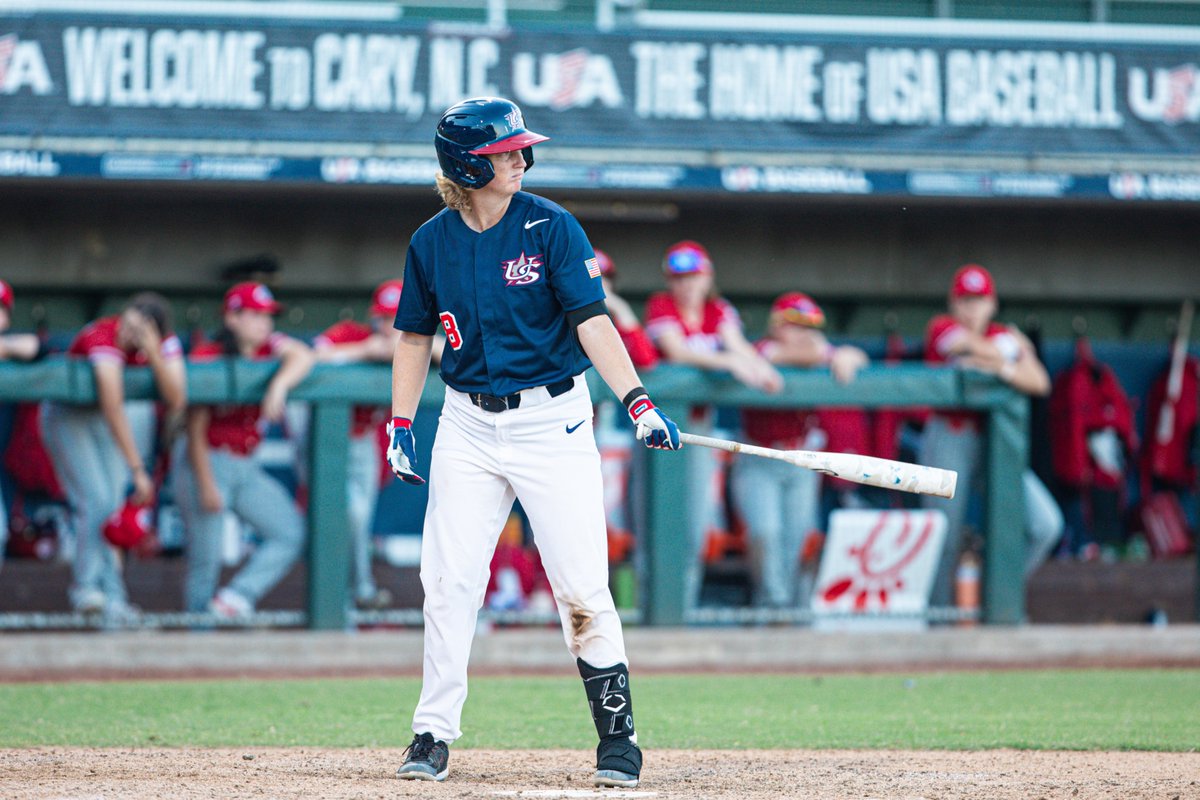South Carolina Softball tweet media