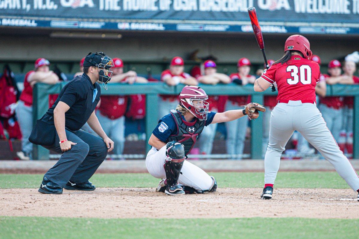 South Carolina Softball tweet media
