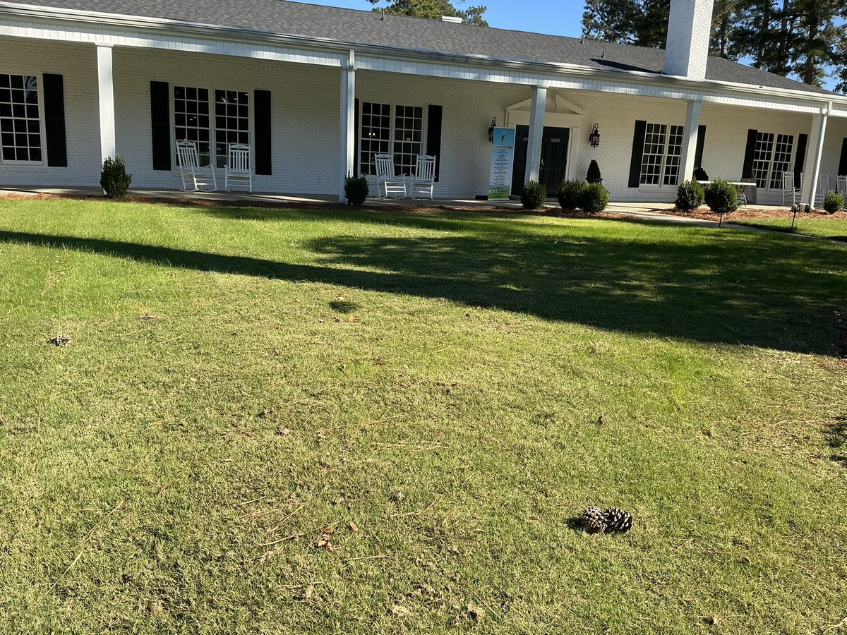 Wee One Foundation tweet media