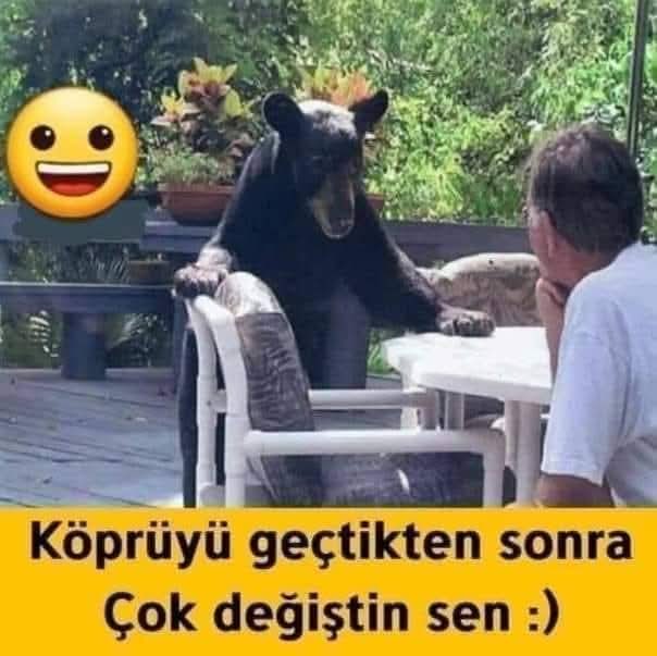 serdarydn's tweet photo. Sahi 0 Köprüye Ne Oldi?? https://t.co/j2EbXidzit