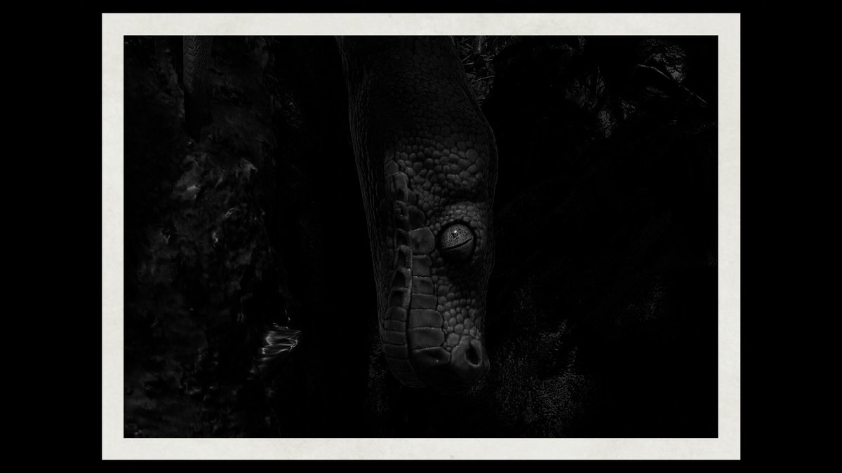 JDRprojects's tweet photo. In the meantime, enjoy my MGS Delta Wildlife photo shoot #MGSDelta #MGSPhotoMode https://t.co/JryfVPchDa