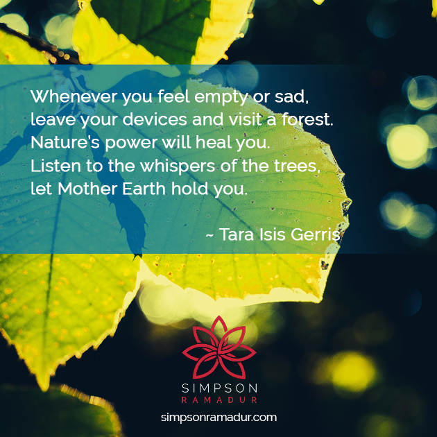 SimpsonRamaDur's tweet photo. "The fresh air will refresh your Spirit." @TaraIsisGerris https://t.co/WWj9fd4KdM