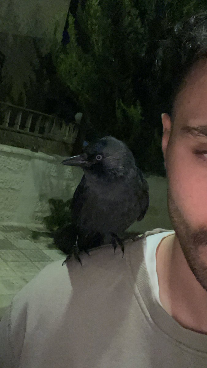 صوره مع علي الازايده