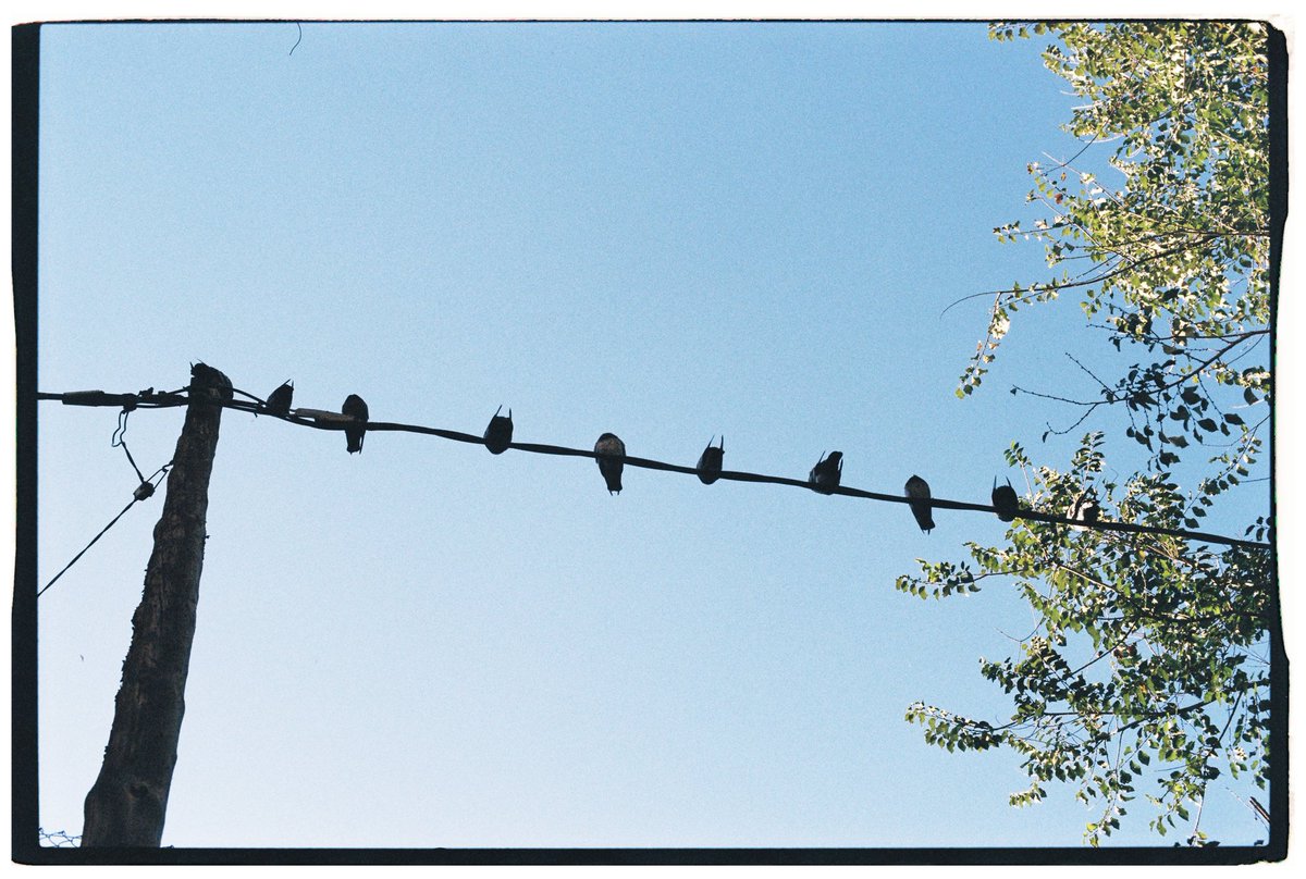 bea.mnz 📸🌸 tweet media