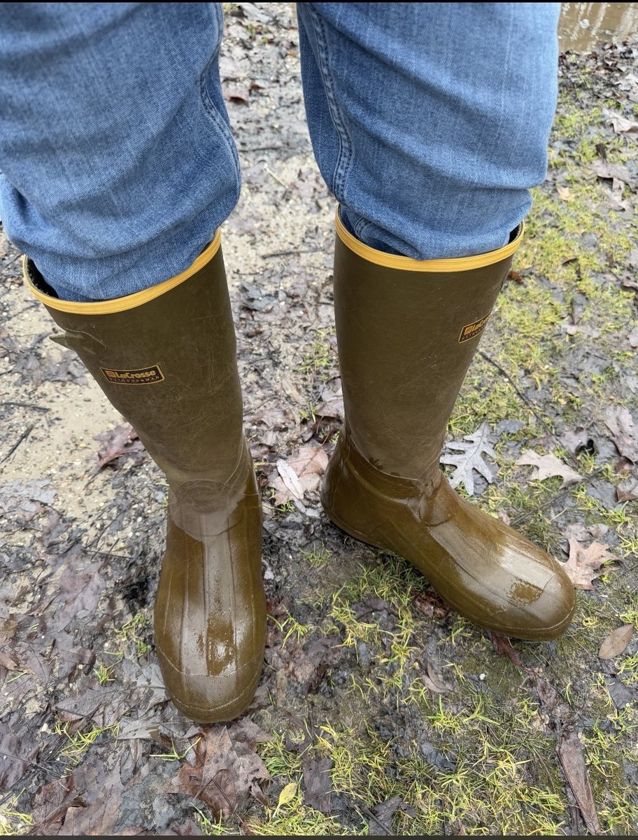 Bootstud tweet media