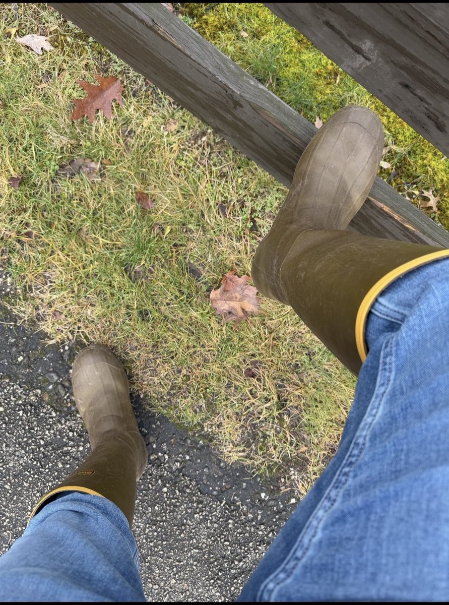 Bootstud tweet media