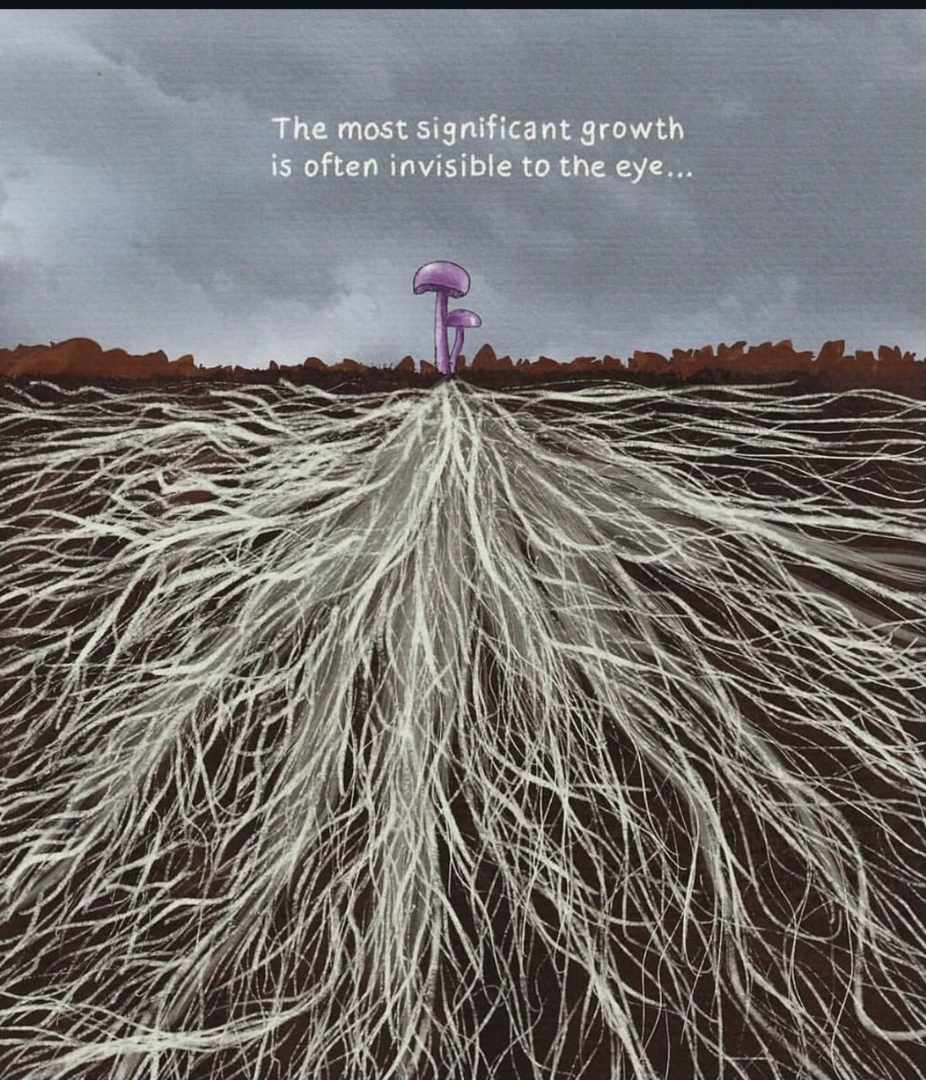 Bomp 🎰 (@mycelium_daddy) on Twitter photo 